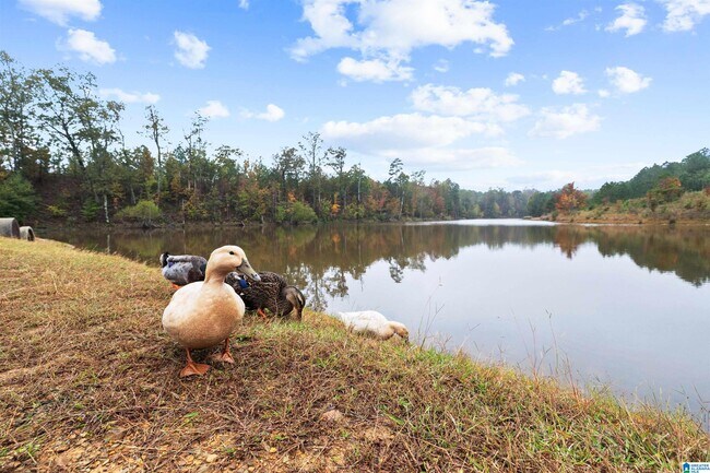 Building Photo - 325 Blackberry Blvd