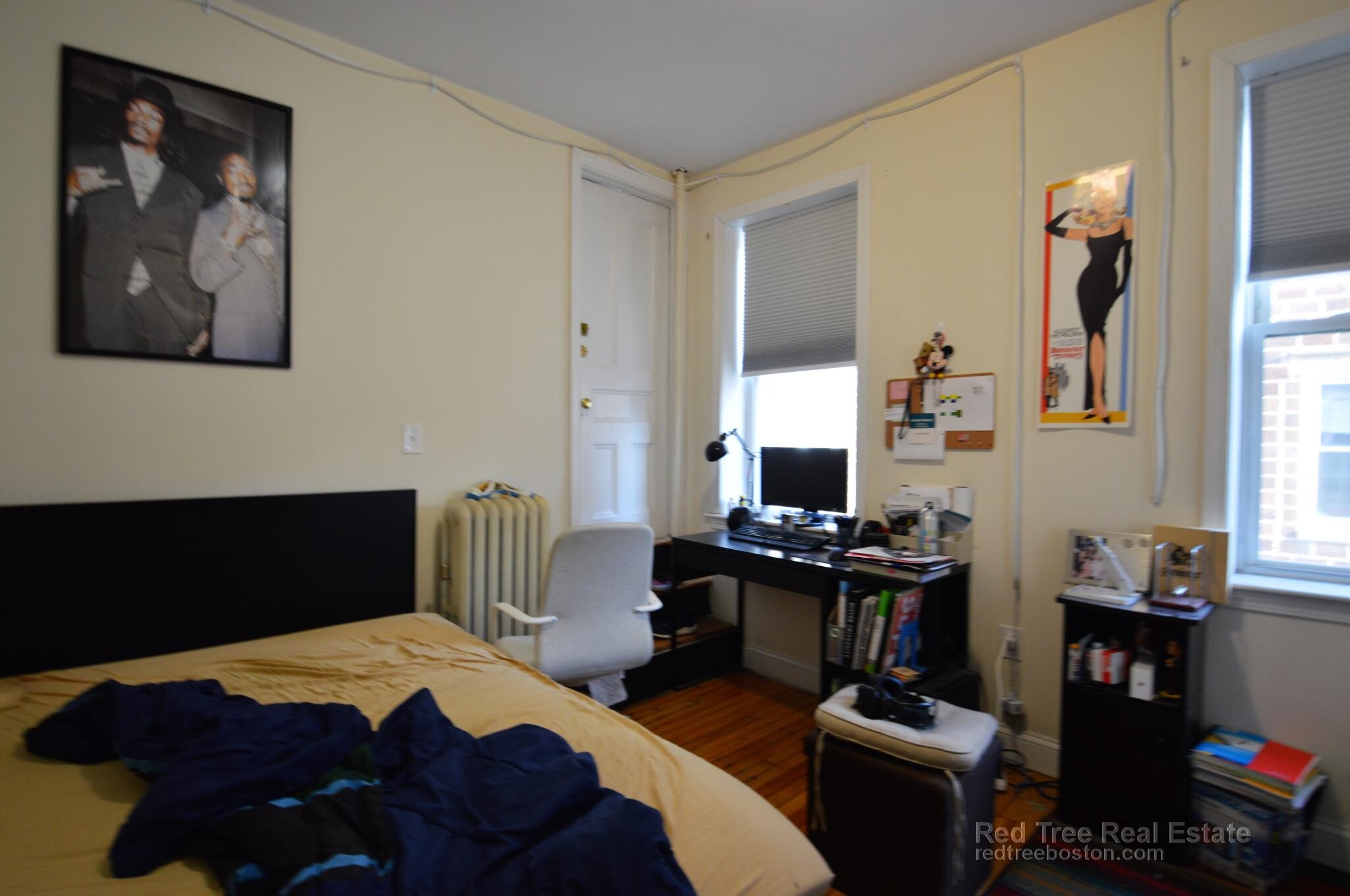 Building Photo - 56 Egmont St