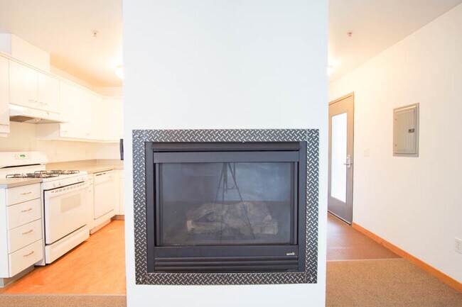 Building Photo - Very Spacious Studio w/Fireplace, Washer &...