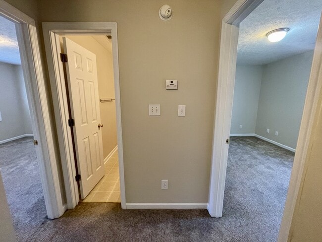 Building Photo - 125 Primrose Ln