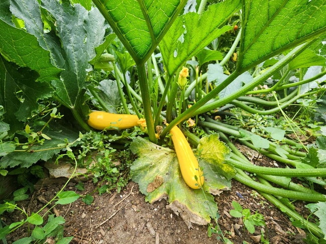 Building Photo - Stunning 3 Bedroom Townhome Tucked Away In Breathtaking Community