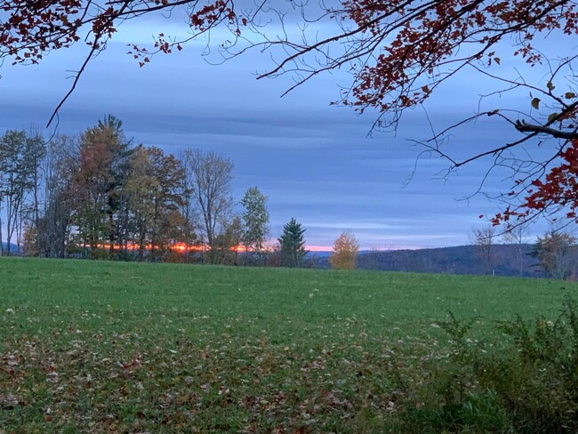 Building Photo - 293 Bear Hill Rd