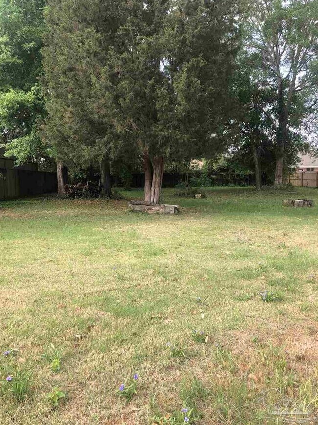 Building Photo - 3885 Hidden Oaks Dr