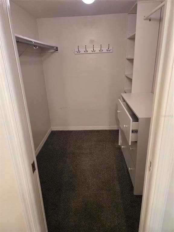 Building Photo - 10350 Carrollwood Ln