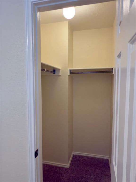 Building Photo - 1206 Devil Ridge