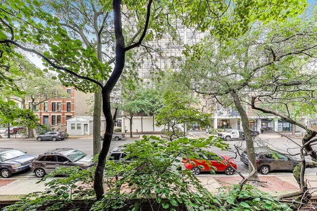 Building Photo - 1750 N Wells St