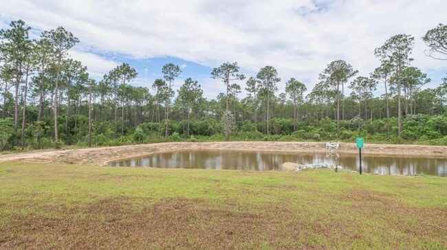 Building Photo - 10125 Willow Leaf Dr