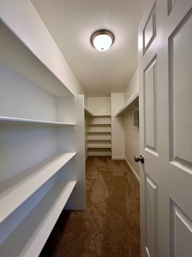 Building Photo - 1342 Kingswood Dr