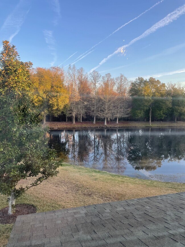 Building Photo - 300 Volterra Plz