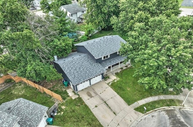 Building Photo - SCOTCH PINE