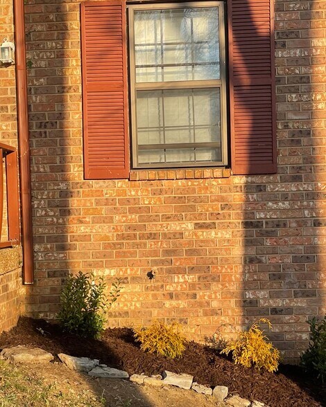 Building Photo - 356 Ladybird Dr