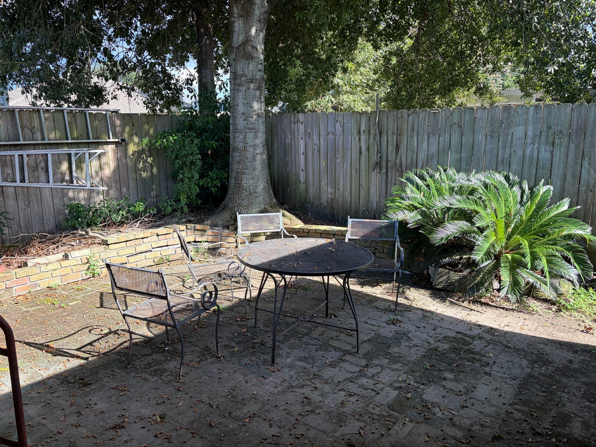 Building Photo - 6237 Catina St