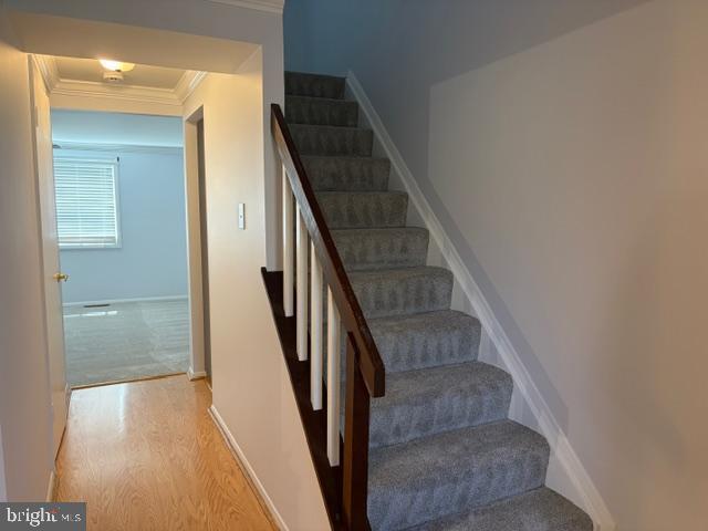 Building Photo - 6581 Pressed Gentian