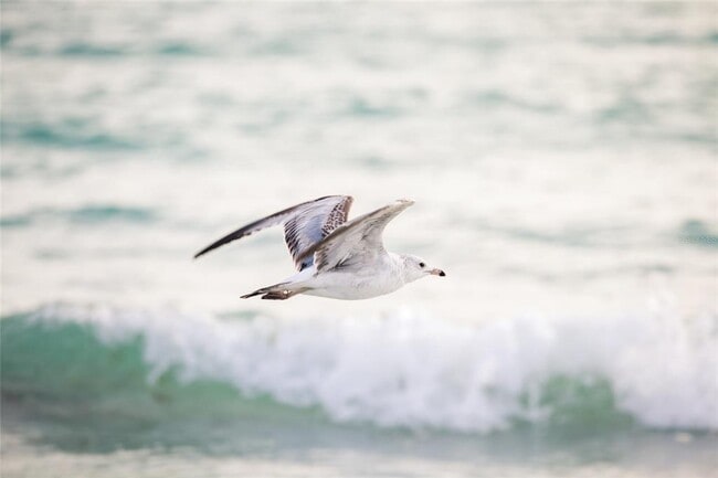 Building Photo - 531 Latitude Ln