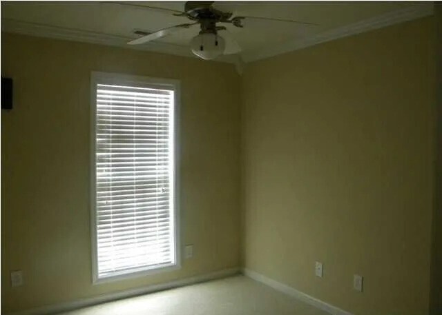 Building Photo - 101 Tine Ln