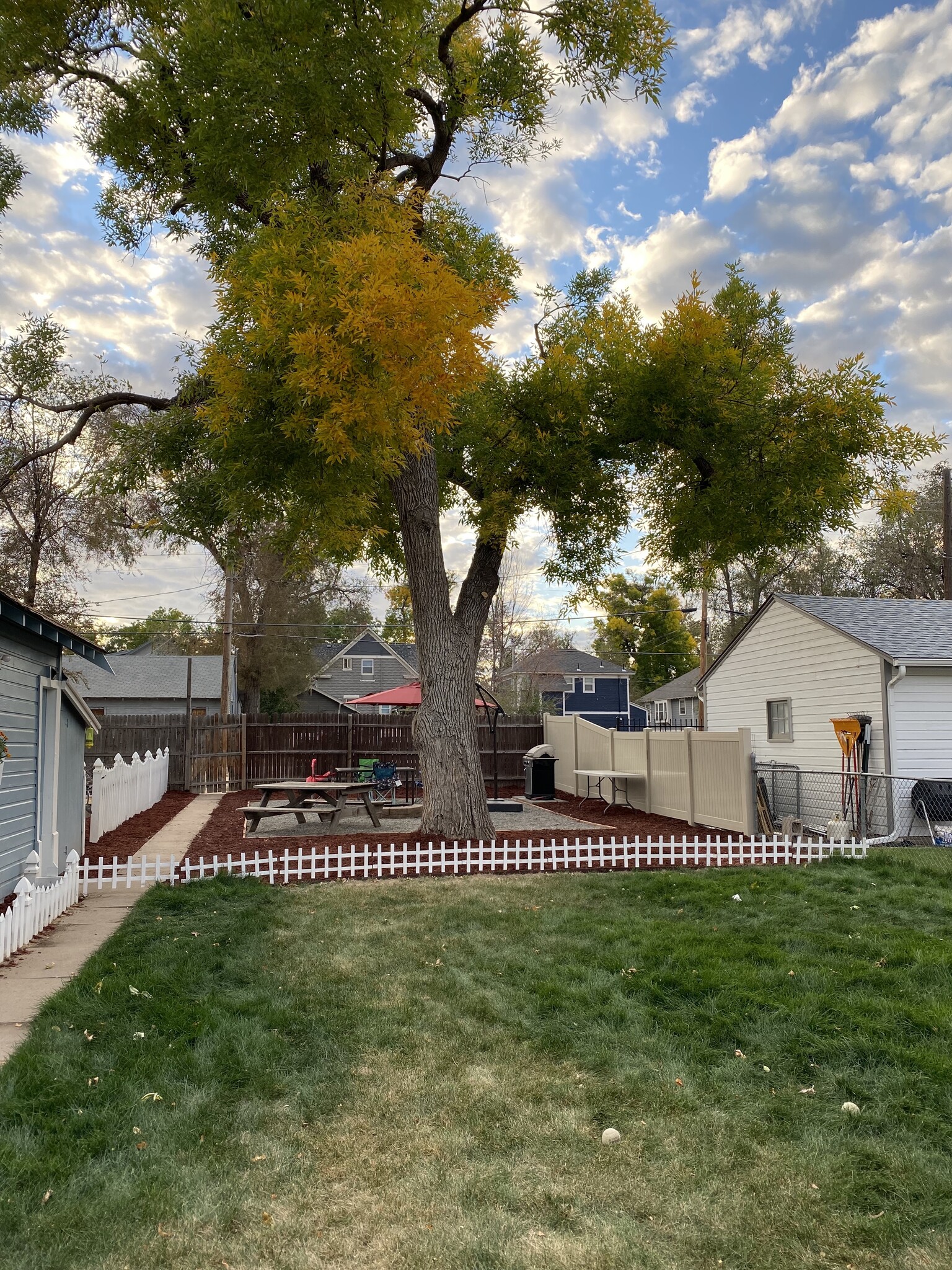 Shared backyard - 1827 6th Ave