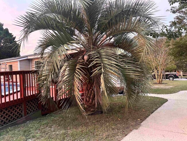 Building Photo - 221 Bentgrass Ln