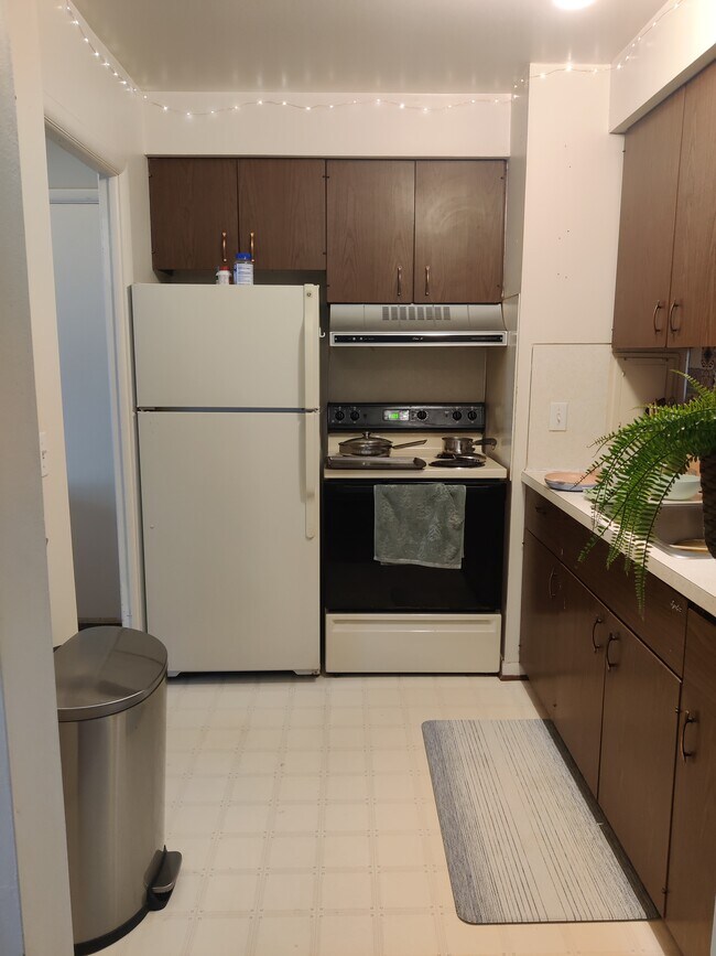 Building Photo - 1237 Island Dr
