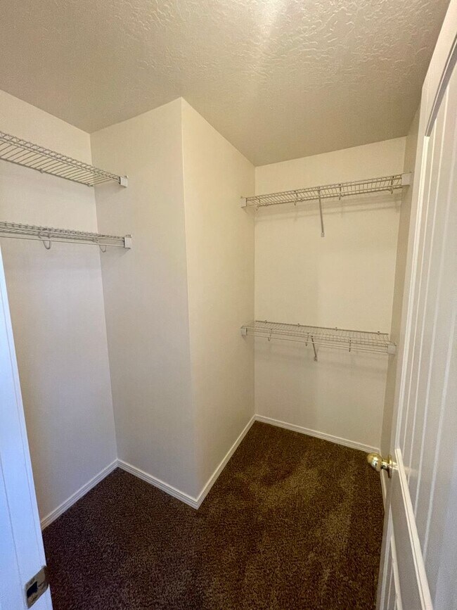 Building Photo - 3484 Vela Pl