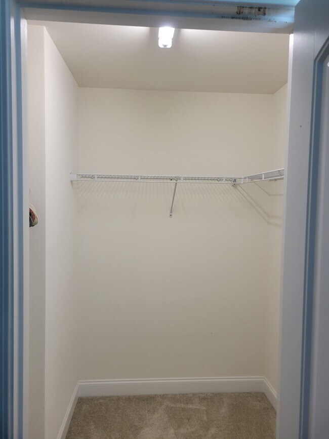 Master bed walk-in closet - 4408 Lady Rita Ln