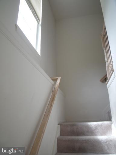 Building Photo - 13014 Shamrock Glen Dr