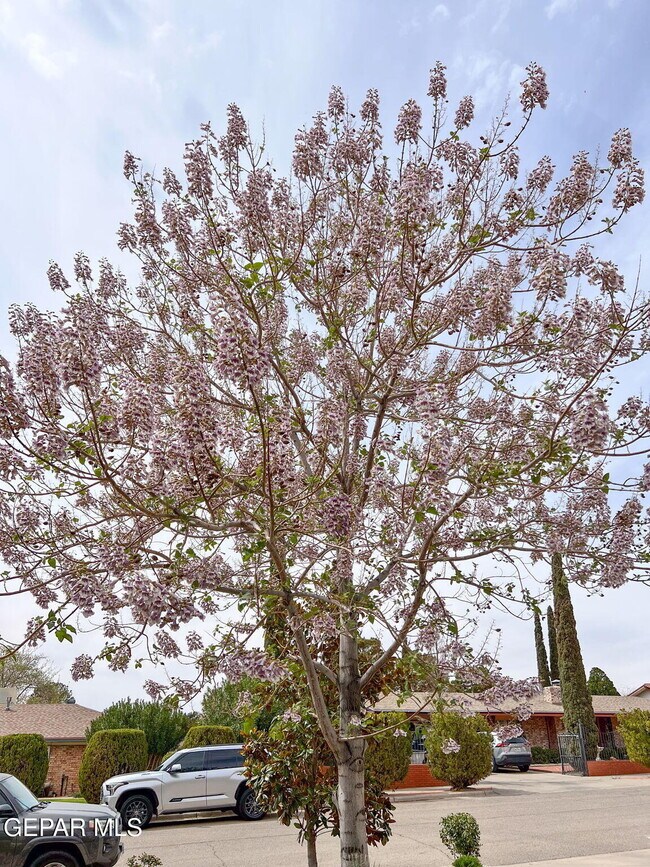 Building Photo - 1316 Hookridge Dr