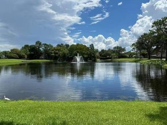 Building Photo - 1020 Black Willow Dr