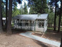 Building Photo - Pine Ridge Park Estates