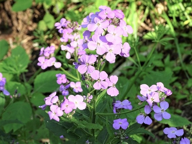 Building Photo - 200 Holly Tree Rd