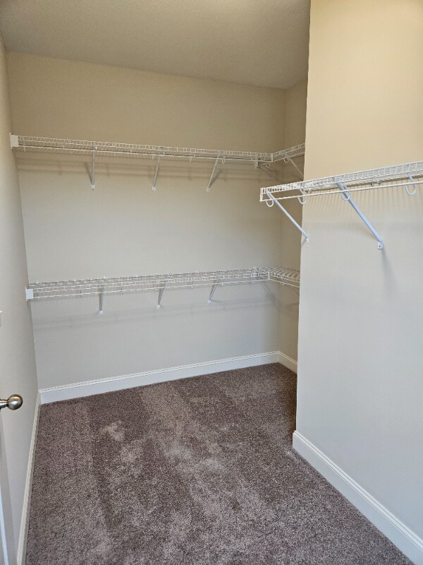 Building Photo - 1836 Silver Chapel Dr