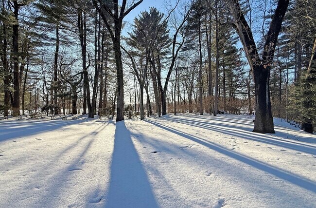 Building Photo - 74 Prynne Ridge Rd