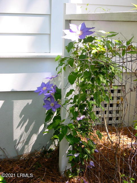 Building Photo - 31 Porcher Pinkney