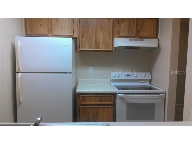 4031 Tumble Wood Trl - 4031 Tumble Wood Trl Tampa FL 33613 | Apartment ...