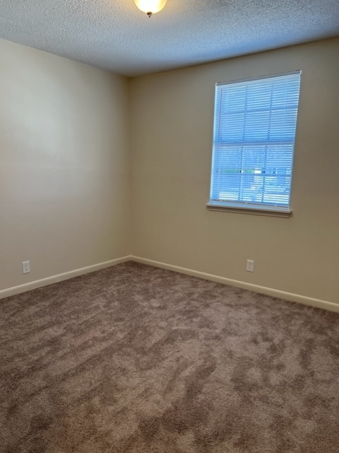 Building Photo - 305 Hawk View Ct