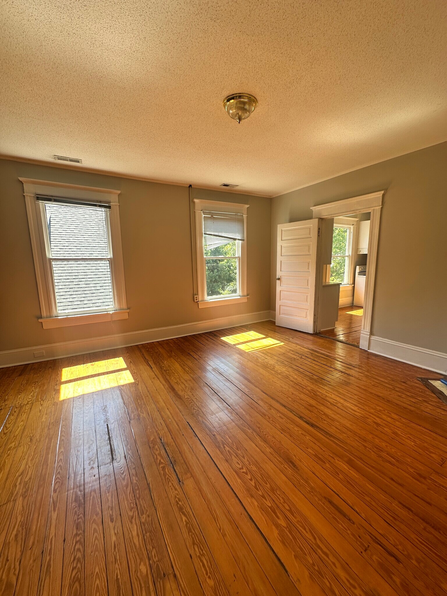 Living room - 501 Cutler St