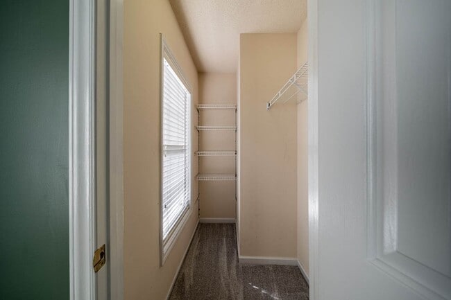 Building Photo - 3135 Lariat Ridge Dr