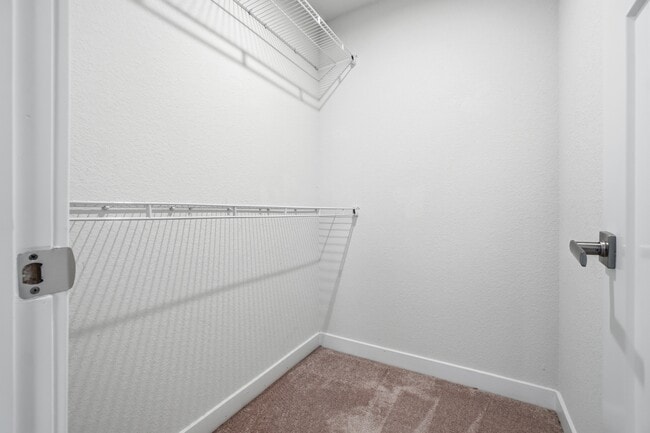 Building Photo - 266 Foxglove Dr