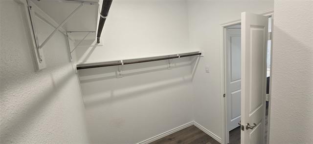 Building Photo - 2236 Lasso Ct