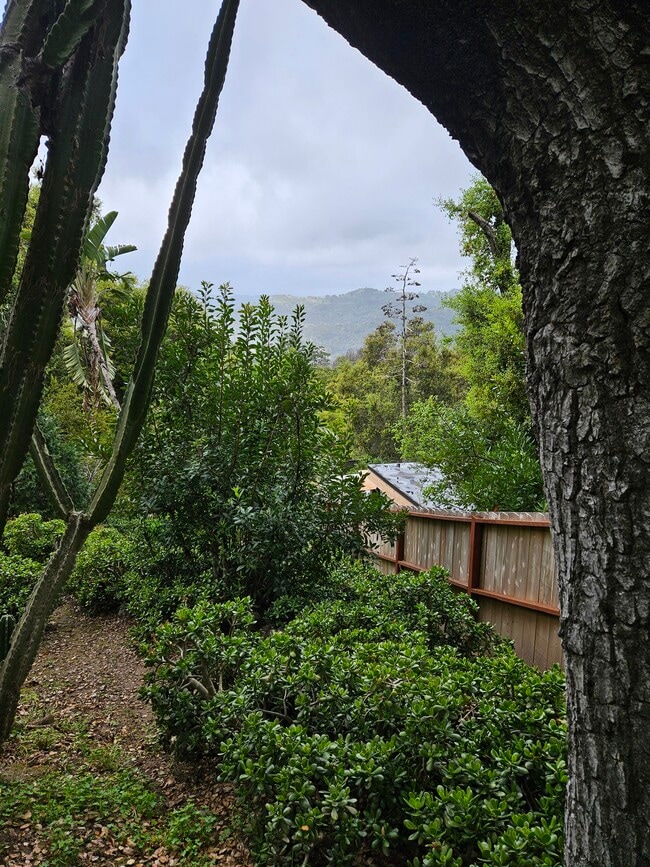 Backyard 2 - 20894 Waveview Dr
