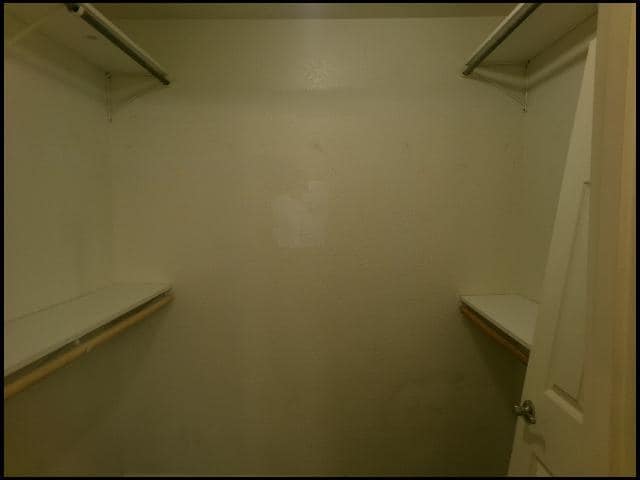 Building Photo - 339 Weathering Ln