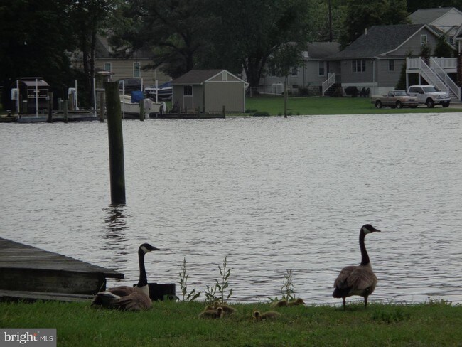 Building Photo - 7823 Denton Ave