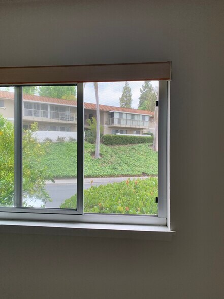 Beautiful green ivy view - 621 Avenida Sevilla