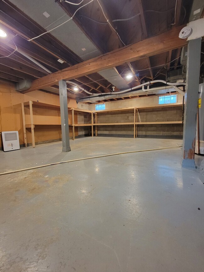 Large Basement Storage - 707 E 19th St