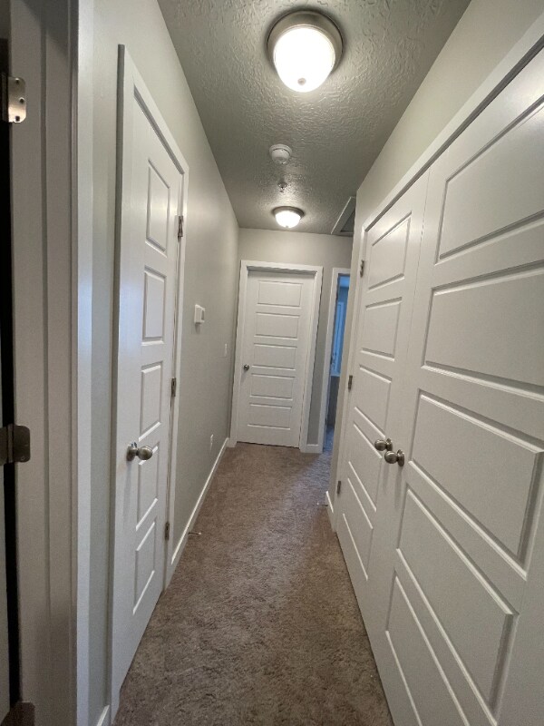 Building Photo - 4214 Frontier Park Ct