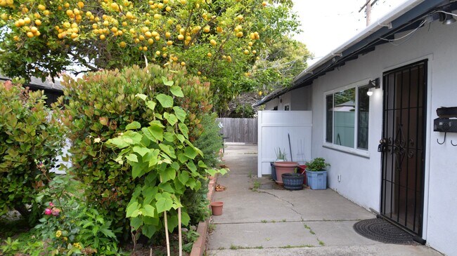 Building Photo - 150 Avenida Serra