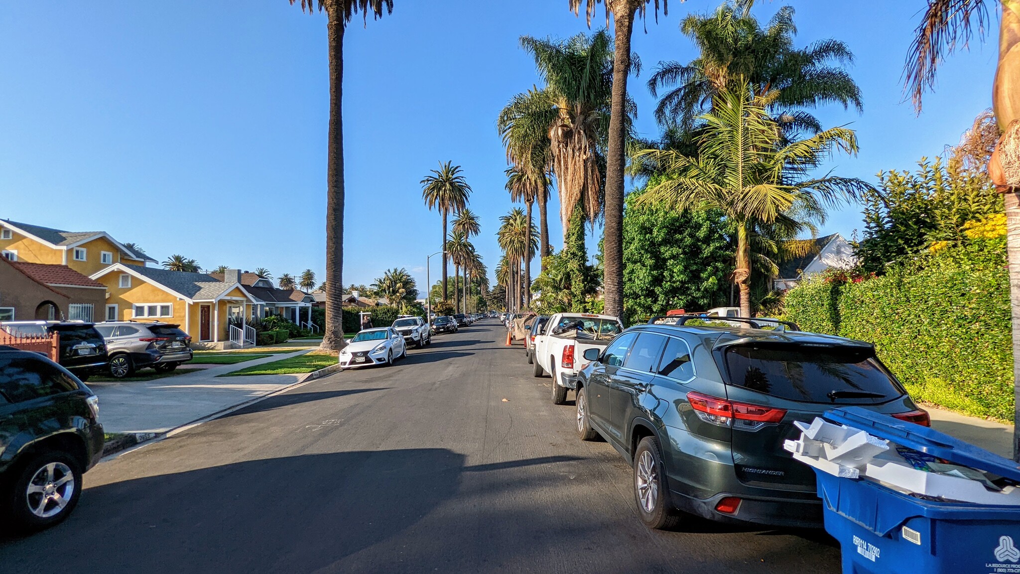 Tree Lined Street - 2852 S Palm Grove Ave