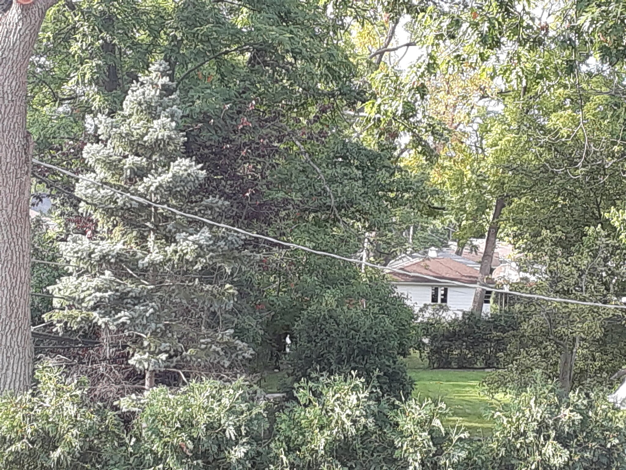 A Peek Of Park Lake & All The Natural Beauty That Surrounds Us During All 4 Seasons. LOVE HOME! - 2 N Broadway Ave