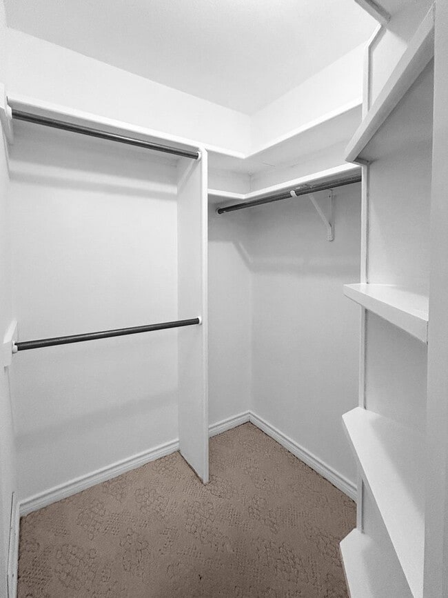 Building Photo - Stately Red-Brick Corner Lot Home in Seguin, TX