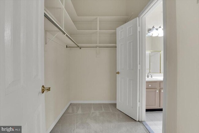 Building Photo - 2904 Oakton Crest Pl