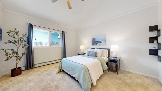 Building Photo - Beautiful Townhome-Fort Collins